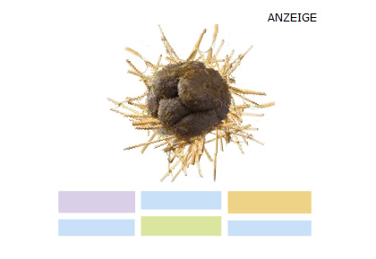Scheiße Scheiße
