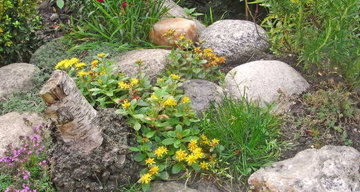 Steingarten Steingarten